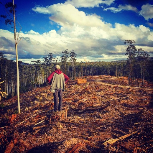 Nothing quite prepares you for the devastation of clear felling. Joby, a Gumbaynggirr elder, surveys the Tarkeeth